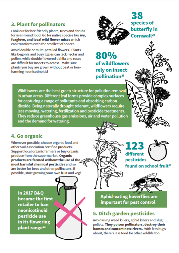 Top tips to help pollinators: 3 Plant, 4 Go organic, 5 Ditch pesticides Top tips to help pollinators: 3 Plant, 4 Go organic, 5 Ditch pesticides